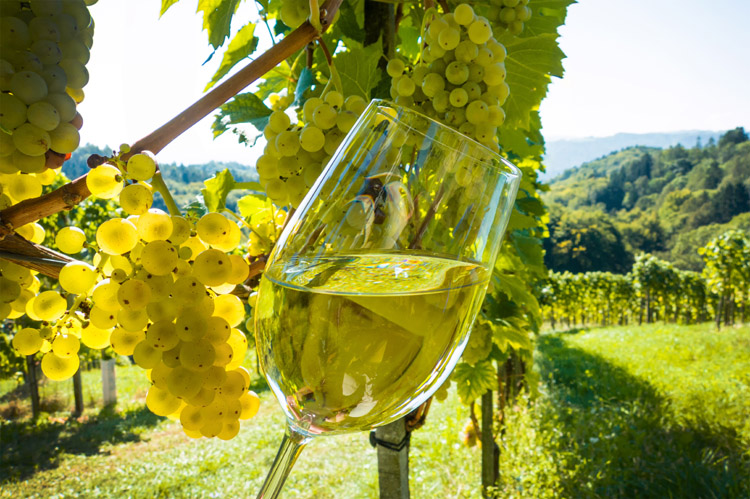 Domaine Della Ritchie Vineyard Chardonnay